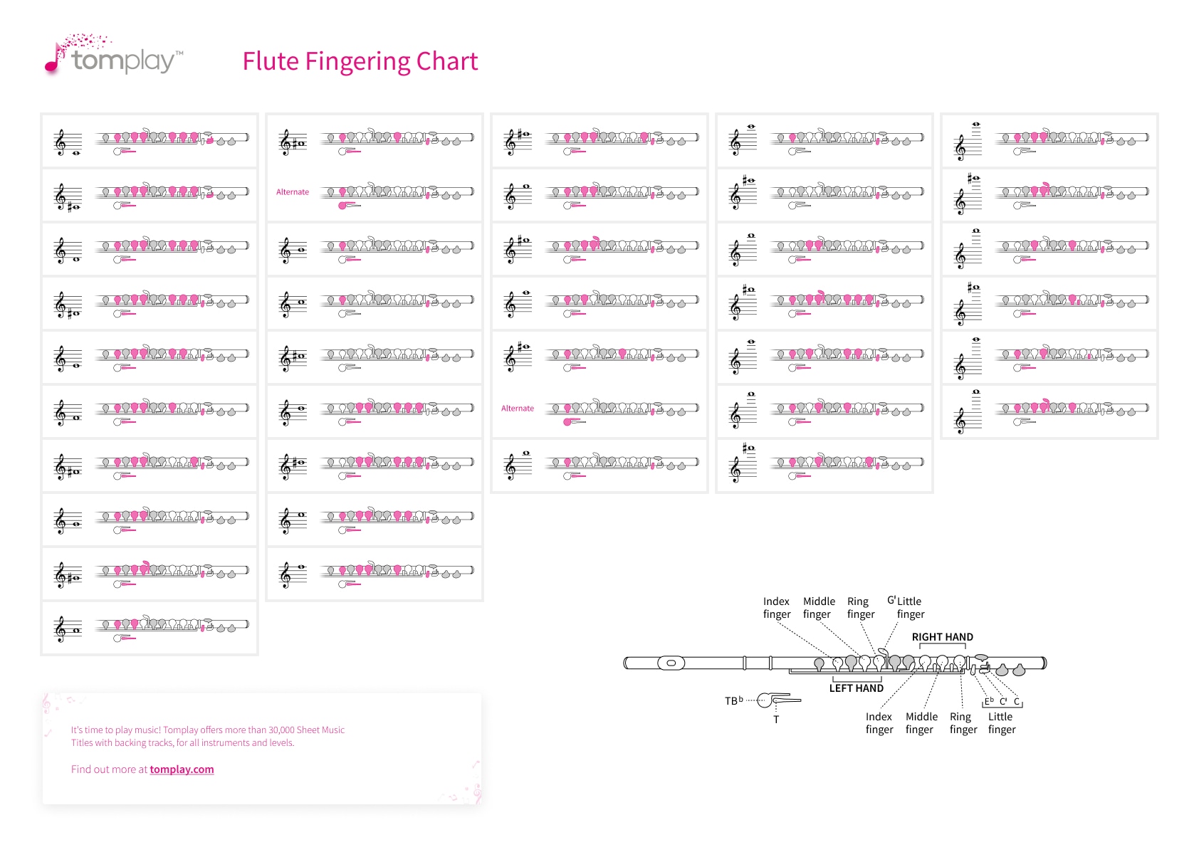 Flute fingering chart Interactive tool for all flute players