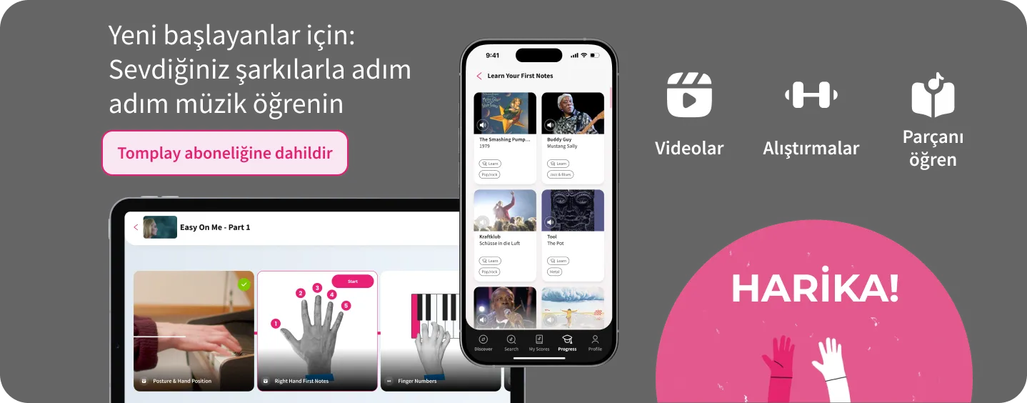 Tomlearn banner