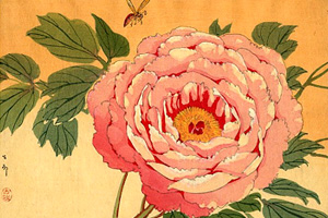 Clementi-Sonatina-in-C-major-Opus-36-No-5.jpg