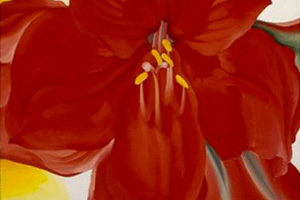Henry-Ghys-Amaryllis.jpg